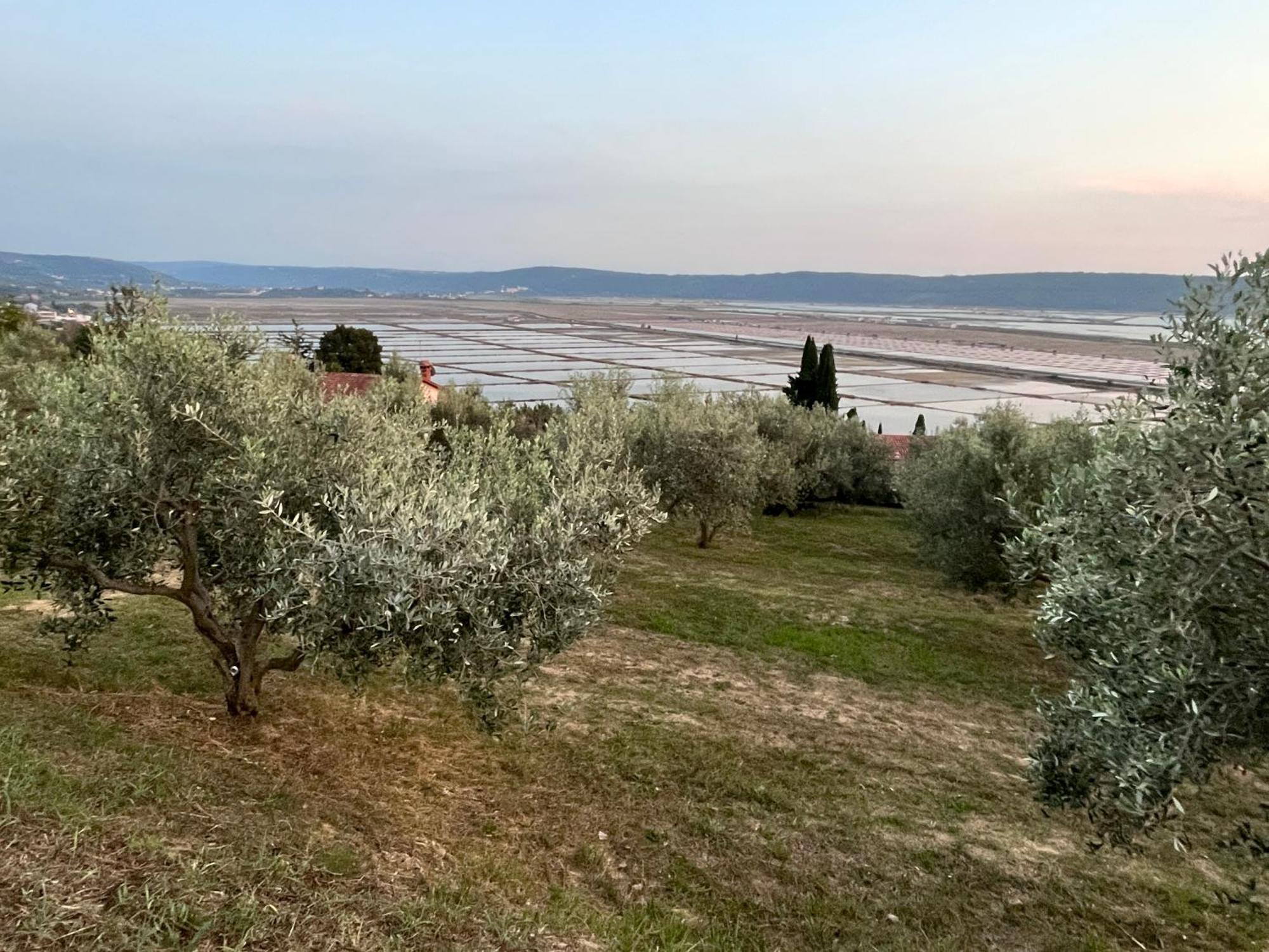 Piran Pleasant 2 Bedrooms Duplex Appartment With Terrace エクステリア 写真