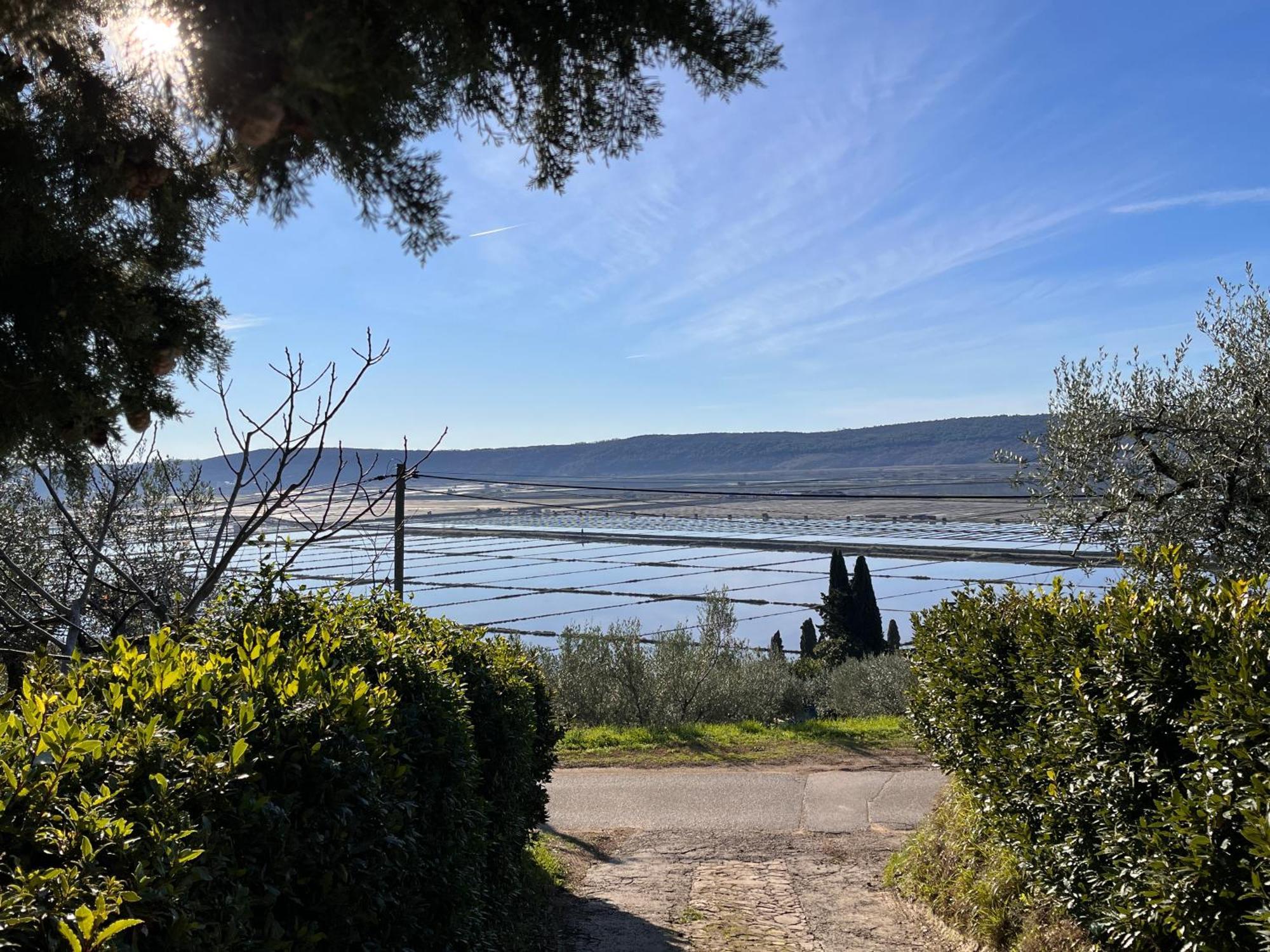 Piran Pleasant 2 Bedrooms Duplex Appartment With Terrace エクステリア 写真