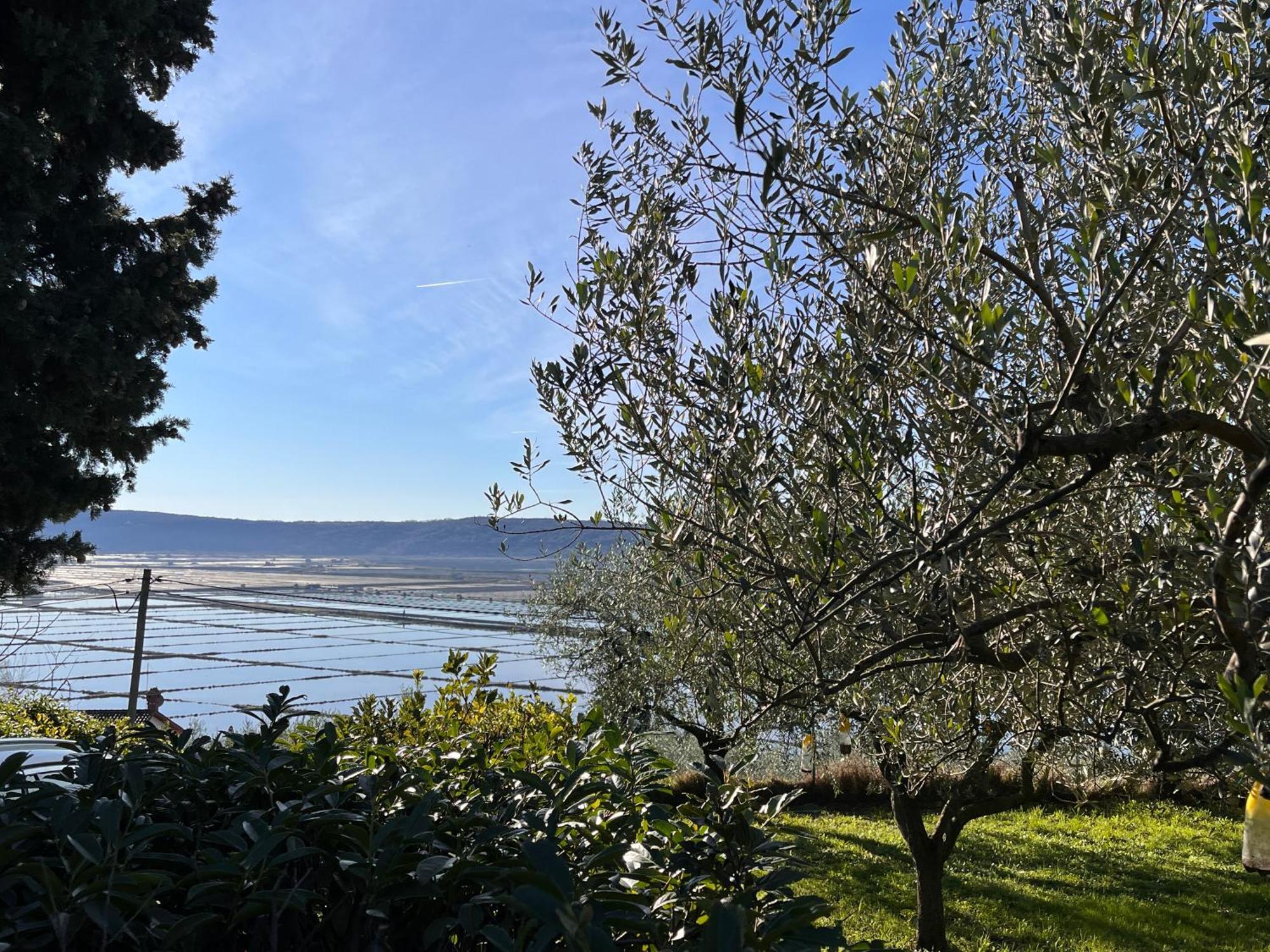 Piran Pleasant 2 Bedrooms Duplex Appartment With Terrace エクステリア 写真
